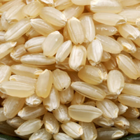 我靠不吃米饭瘦了几斤，但可是！这 2 个残酷真相你必须知道