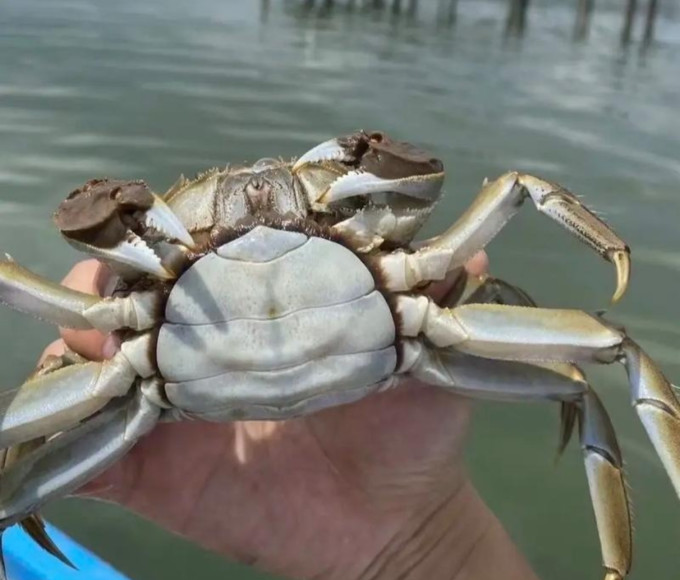 蟹公馆海鲜水产