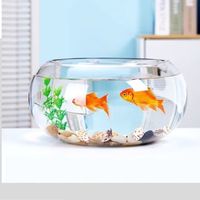 如何选择桌面鱼缸？八大要点要记住！