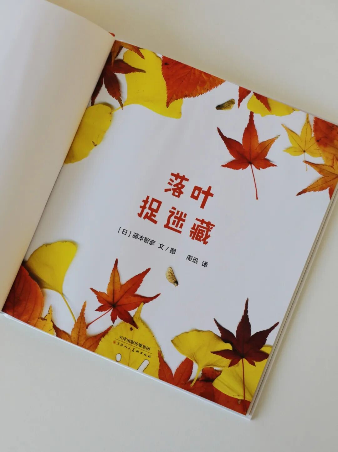 秋季书单 | 一到秋天就卖爆，数万人推荐的高分绘本闭眼入！