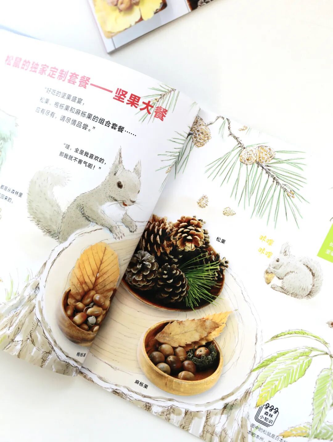 秋季书单 | 一到秋天就卖爆，数万人推荐的高分绘本闭眼入！