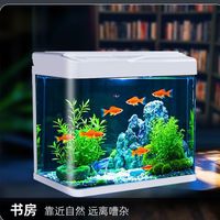 创新设计：美诺推出半圆型生态鱼缸，家居美学新选择！