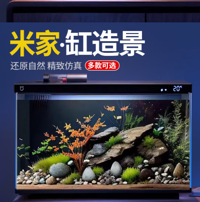 小米其他装饰