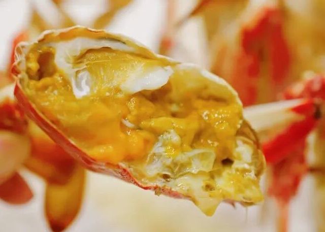 开渔必冲的小岛，海鲜盛宴即将上演