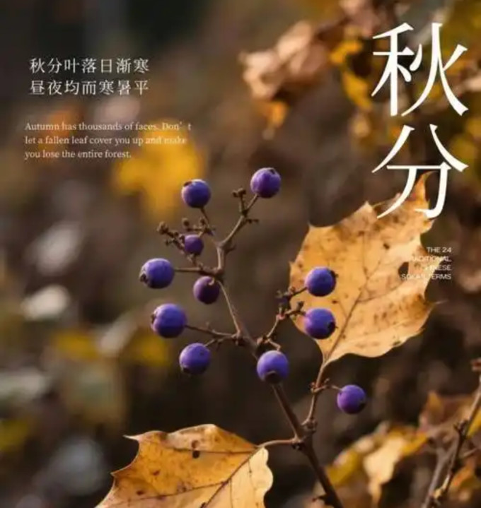 人民邮电出版社绘本/图画书