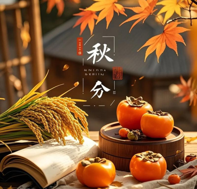 人民邮电出版社绘本/图画书