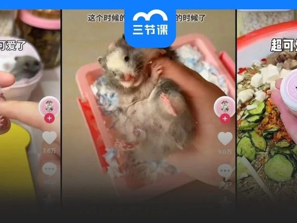 撬动百亿市场，这个小众赛道被年轻人“捧红”了！