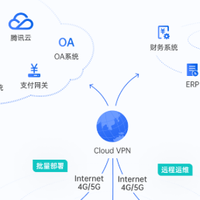 从VPN到SD-WAN，云原生时代的企业管理利器，蒲公英异地组网