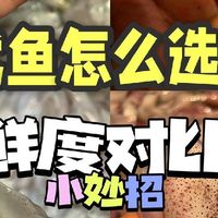 挑选新鲜鱿鱼的五个要点