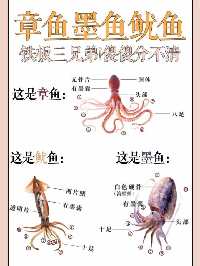 京觅海鲜水产
