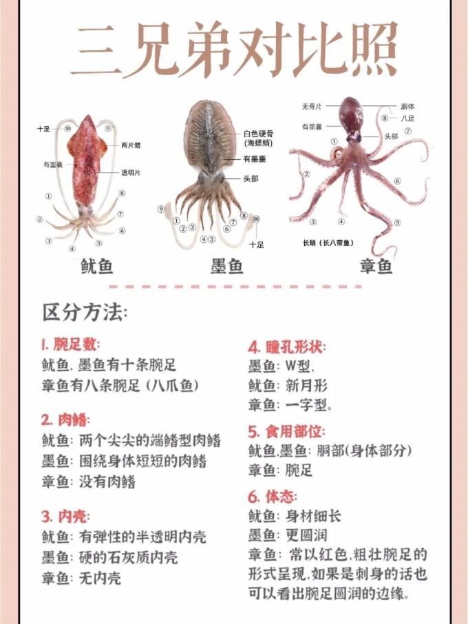 京觅海鲜水产