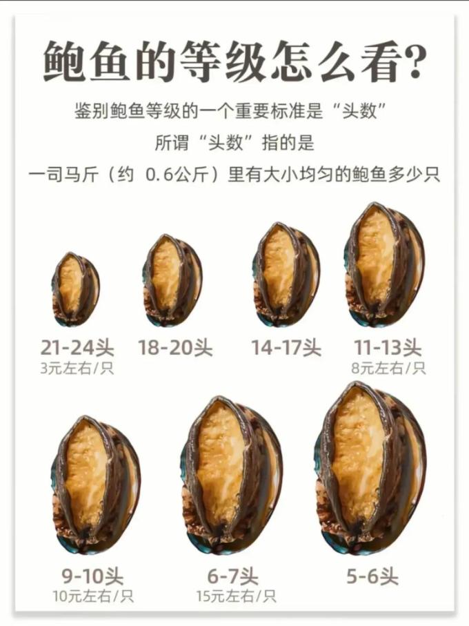 贝类