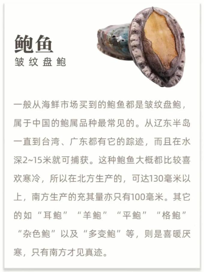 贝类