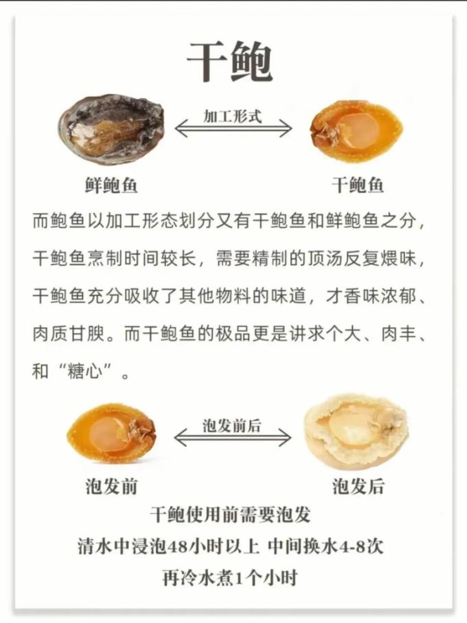 贝类