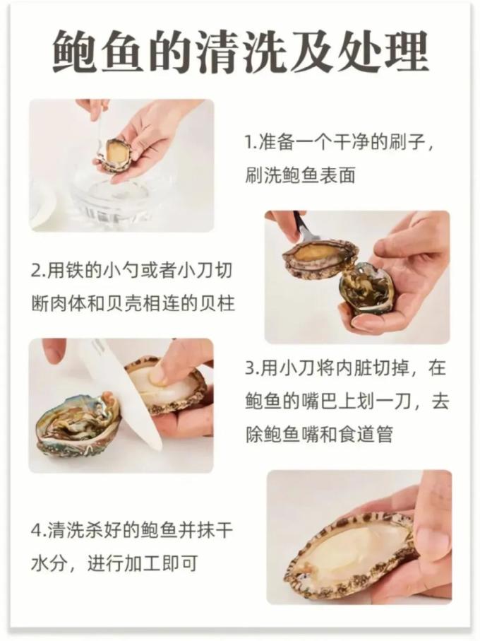 贝类