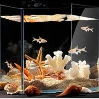 燕之雁鱼缸造景：天然海螺贝壳+仿真海星，邂逅梦幻海底绮梦！