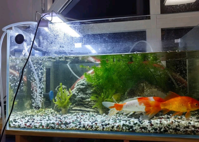 森森智能鱼缸/水族箱