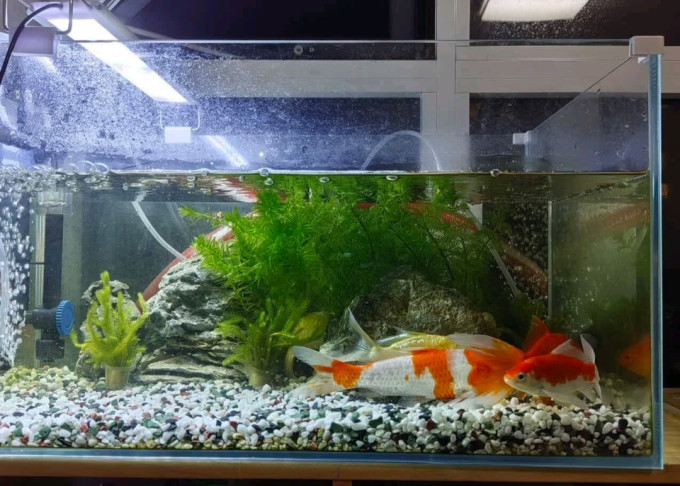 森森智能鱼缸/水族箱