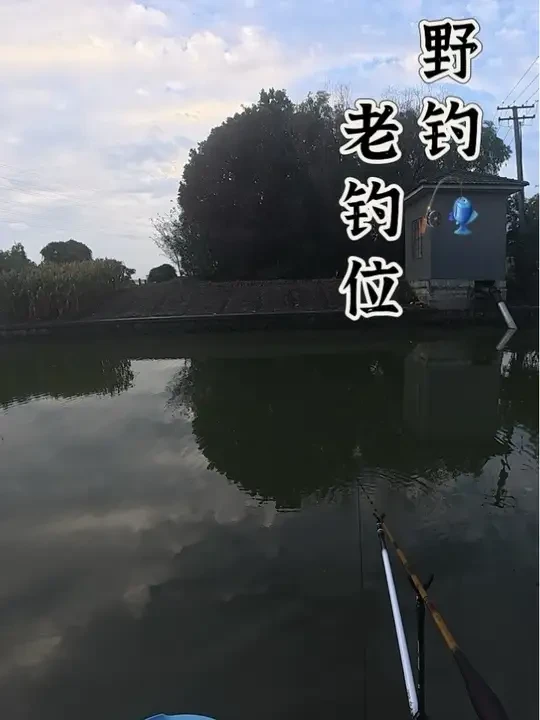 野钓，老钓位。#原来钓鱼才是抖音运动顶流 #钓鱼人就是这么疯狂 #光威无法一本 #云飞鱼 #钓鱼王地狱猫