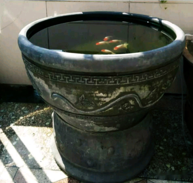 鱼缸