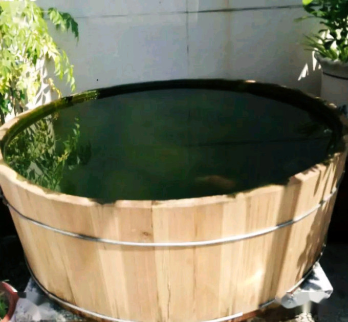 鱼缸