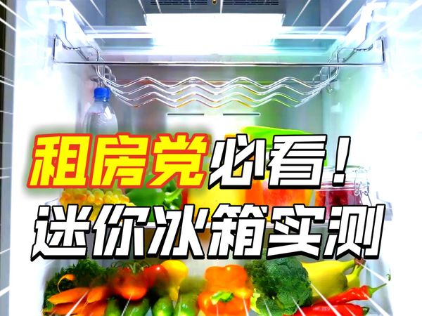 【迷你冰箱推荐】2025年9月小户型必备15款热门冰箱选购攻略，品牌怎么选？选购指南，奥克斯/容声/海尔推荐！