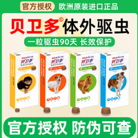 贝卫多：给泰迪幼犬的长效外驱守护，三月一粒安心无忧