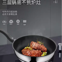被米其林餐厅偏爱的德国锅!WMF Devil 迪梵平底锅用一次爱一次