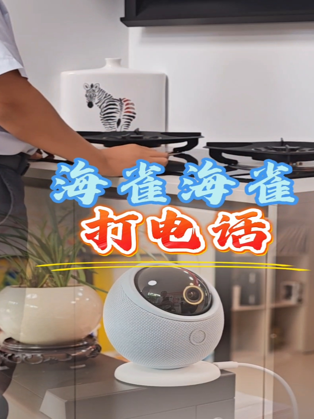 鸿蒙智选海雀雀蛋Pro，一呼百应的看家助手