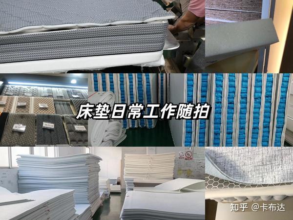 【2025年9月】床垫怎么选？保姆级床垫选购指南 舒达/特蕾卡/西屋/丝涟 各大品牌到底哪款最值得冲？