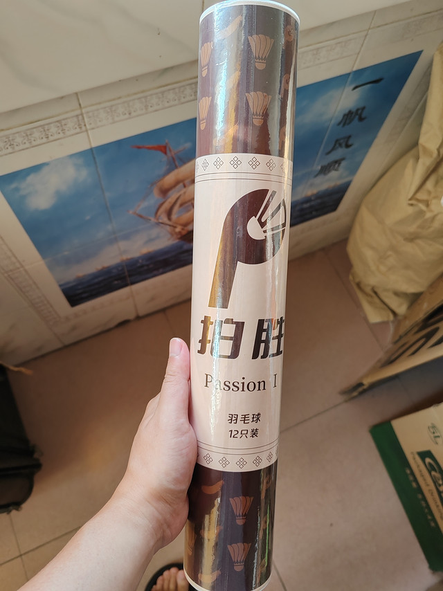 拍胜是我网购羽毛球里唯一成功的