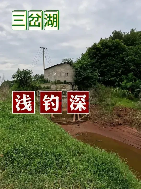浅钓深,钓鱼谚语不欺我,鲤鱼嘎嘎嘎的打连发 #野钓鲤鱼#钓鱼王地狱猫