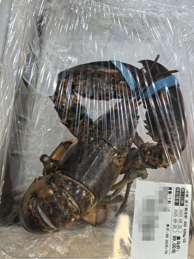 从鲜活到盒装,99元一只的波士顿大龙虾值得买吗?