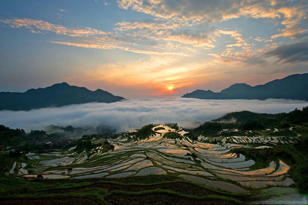凭机票畅游丽水秘境 五个月文旅特惠解锁28景区非遗体验