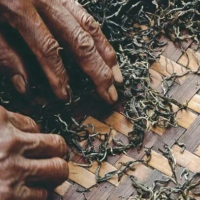 古道巡礼｜茶马古道文化是普洱茶文化之魂