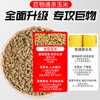 野钓爆护密码被我找到！柒愿果香玉米窝料太顶了