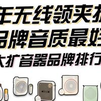 2025年无线领夹扩音器哪个品牌音质最好？