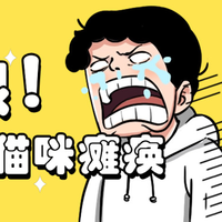 猫粮怎么选安全性价比又高？好又安全又有营养的猫粮推荐