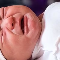 假期为何更容易堵奶？4个自救妙招学起来