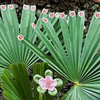 女子晒“绿化带里的草”，被奖励了小红花，网友：优秀到犯规啊~