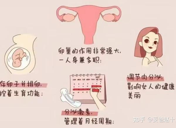 现代女性备孕，是在“拼体质”还是“拼认知”？
