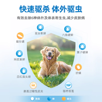 当小泰迪遇上寄生虫：藏在萌态下的健康危机