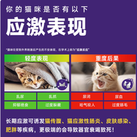 费利威经典朋友猫用喷雾：用科学费洛蒙，守护猫咪情绪安全感