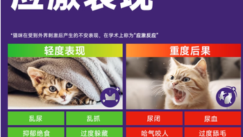 费利威经典朋友猫用喷雾：用科学费洛蒙，守护猫咪情绪安全感