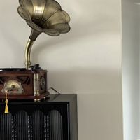 闲鱼捡漏记：百元淘到绝版黑胶唱片机