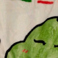 裹着“小恐龙”过冬：我的范爷家珊瑚绒毛毯