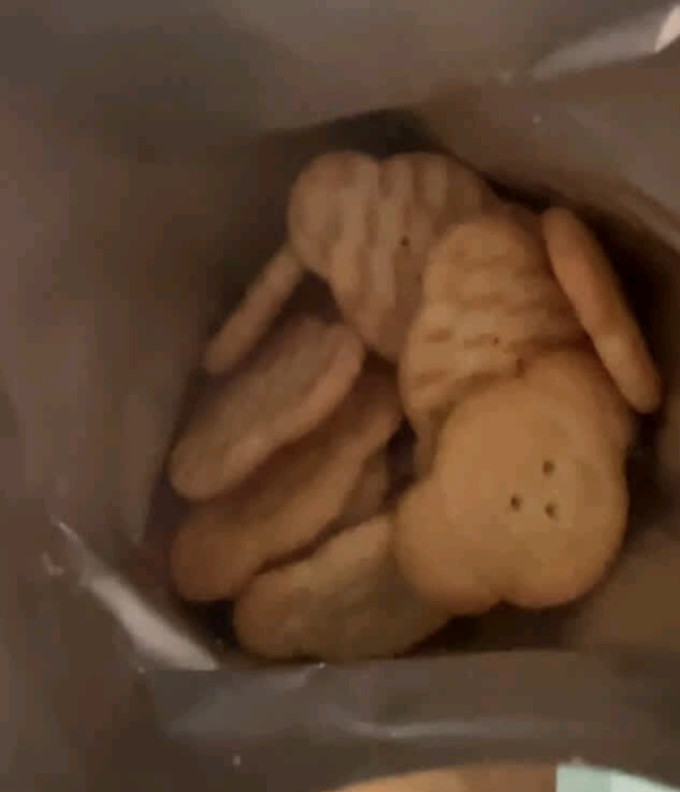 江中饼干