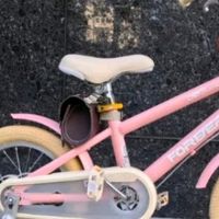 女儿的第一辆自行车！永久公主粉童车真心推荐