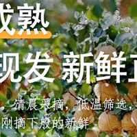 秋月梨:秋季水果新选择