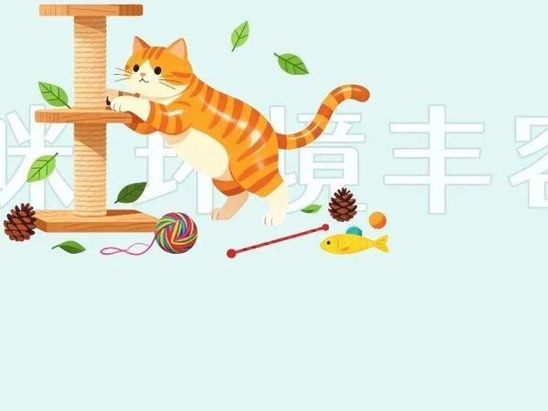假期留守？给猫咪的 “ 空巢 ” 环境丰容指南